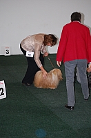 DSC_5410.jpg