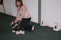 DSC_5414.jpg