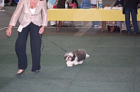 DSC_5415.jpg
