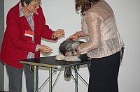 DSC_5417.jpg