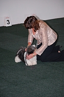 DSC_5420.jpg