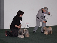 DSC_5422.jpg