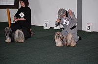 DSC_5425.jpg
