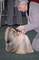 DSC_5429.jpg