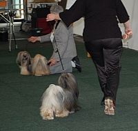 DSC_5433.jpg