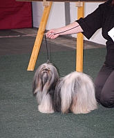 DSC_5436.jpg