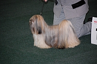 DSC_5444.jpg
