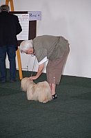 DSC_5445.jpg