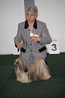DSC_5455.jpg