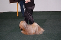 DSC_5457.jpg