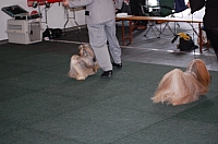 DSC_5458.jpg