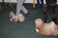DSC_5459.jpg