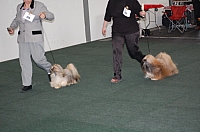 DSC_5460.jpg