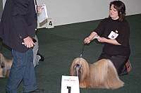 DSC_5463.jpg