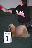 DSC_5464.jpg