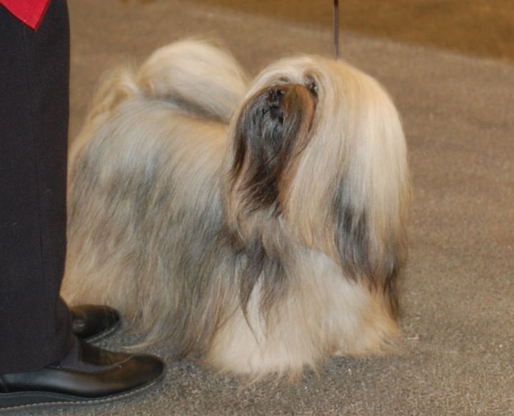 DSC_4841.jpg