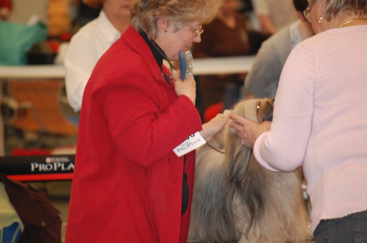 DSC_4849.jpg