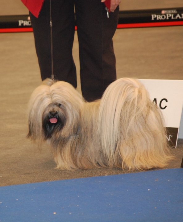 DSC_4869.jpg