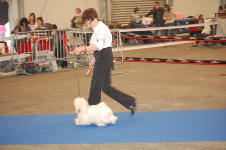 DSC_4917.jpg