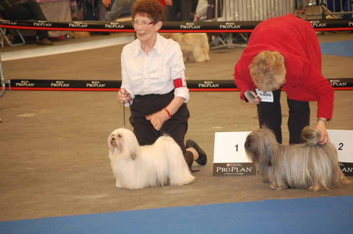DSC_4938.jpg