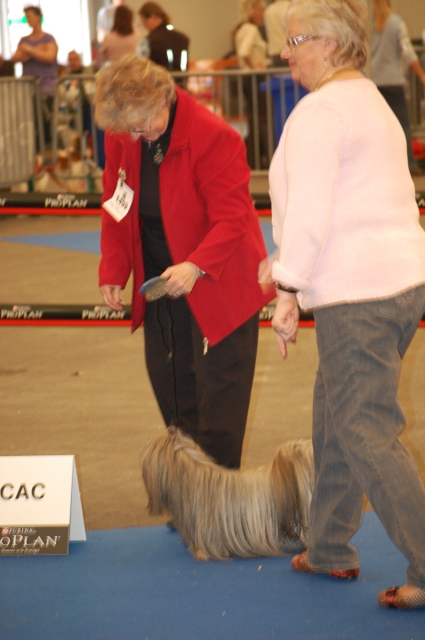 DSC_4955.jpg