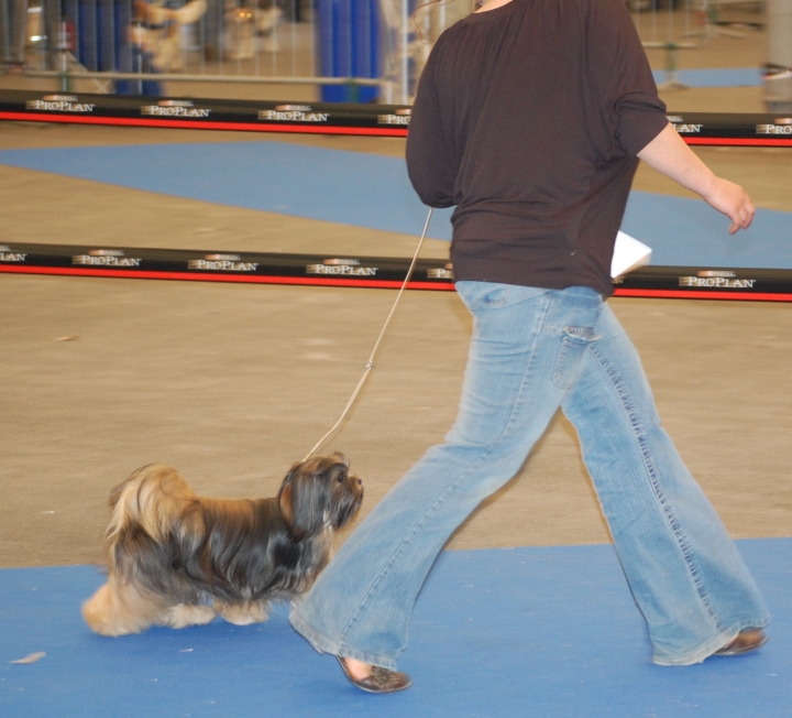 DSC_5005.jpg
