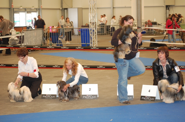 DSC_5035.jpg