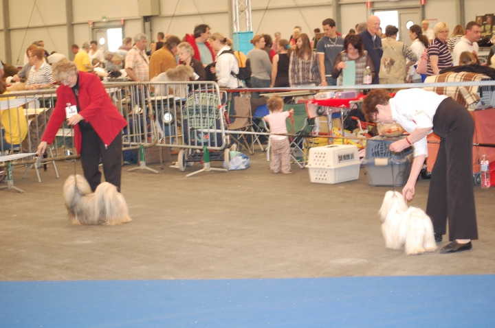 DSC_5044.jpg