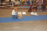 DSC_4828.jpg