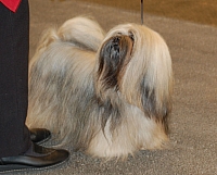 DSC_4841.jpg