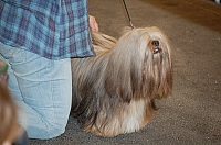 DSC_4851.jpg
