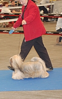 DSC_4852.jpg