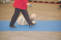 DSC_4853.jpg