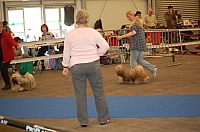 DSC_4855.jpg