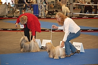 DSC_4864.jpg