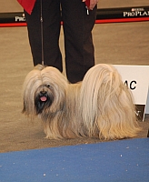 DSC_4869.jpg