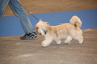 DSC_4886.jpg
