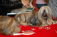 DSC_4893.jpg