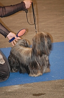 DSC_4900.jpg