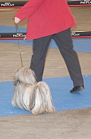 DSC_4903.jpg