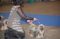 DSC_4907.jpg