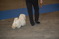 DSC_4911.jpg