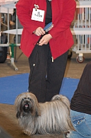 DSC_4912.jpg