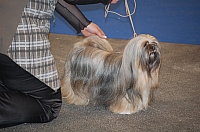 DSC_4914.jpg