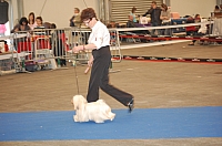 DSC_4917.jpg