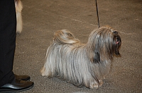 DSC_4920.jpg
