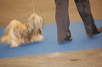 DSC_4922.jpg