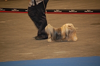 DSC_4923.jpg