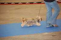 DSC_4931.jpg