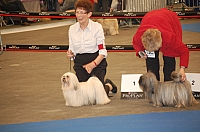 DSC_4938.jpg